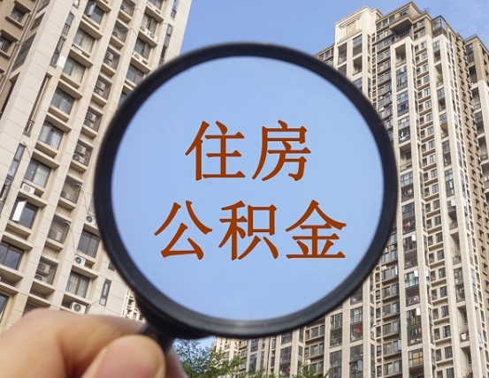 金湖退休后查不到公积金明细了吗（退休后公积金查询不到原因）
